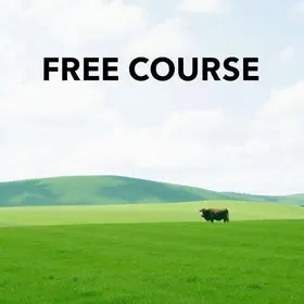 curso grátis de revisão para CNH no DF